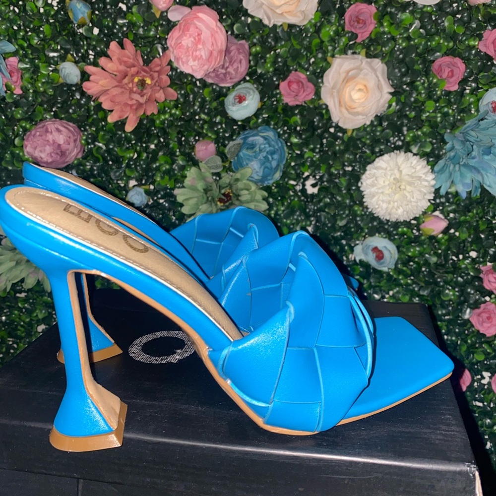 EGO BLUE HEELS